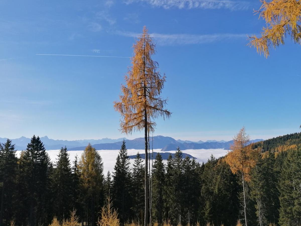 Gerlitzen Ferienappartement Paul Im Ski- Und Wandergebiet, Kanzelhoehe, Ossiacher See Deutschberg المظهر الخارجي الصورة
