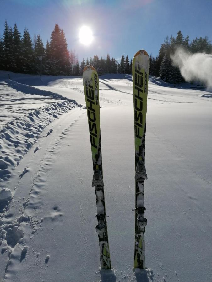 Gerlitzen Ferienappartement Paul Im Ski- Und Wandergebiet, Kanzelhoehe, Ossiacher See Deutschberg المظهر الخارجي الصورة